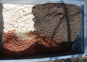 Basic Potting Soil Recipe