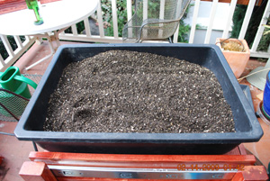 Seed Starting–Start with Good Potting Soil