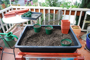 Seed Starting–Fill Pots to 1/2