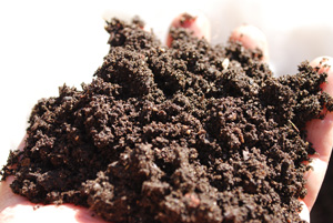 Soil—Wonderful Stuff, but Not Exactly Photogenic