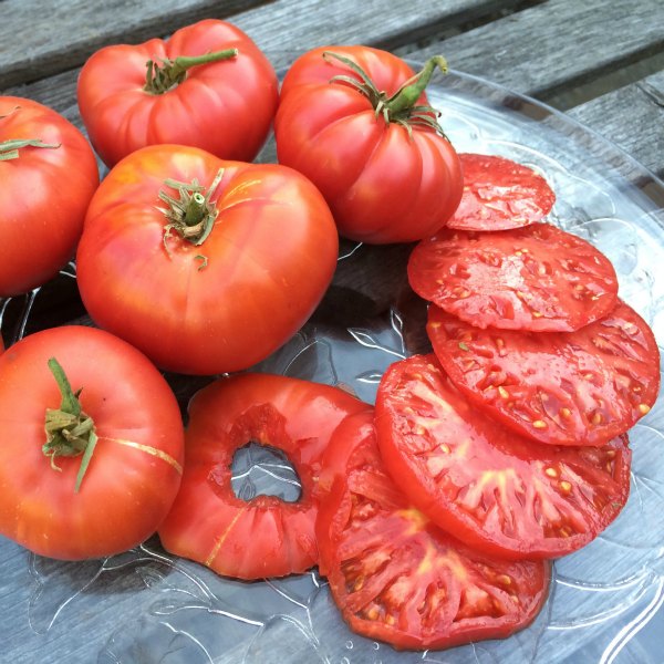 Types Of Tomatoes Chart