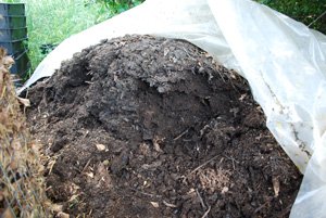Finished Compost Pile