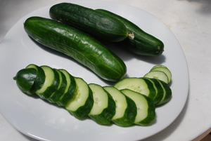 Container Cucumber 'Bush Slicer'