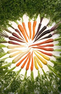 Carrots come in a rainbow of colors