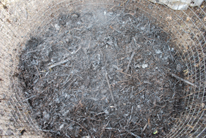 Steam Rising from a Compost Pile