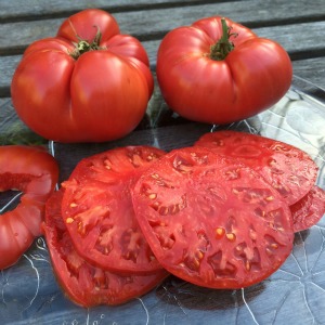 Beefsteak Tomato Varieties—'Caspian Pink' is a beautiful heirloom beefsteak tomato