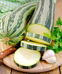 'Caserta' is a beautiful heirloom zucchini, greenish-grey with darker green streaks and dense, creamy flesh.