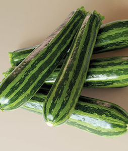 'Summer Green Tiger' zucchini have dark green skin with regular, lighter ribs for a striking slice.